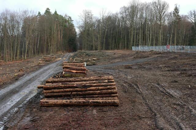 A49-Trasse am Gleental (30.12.2020)