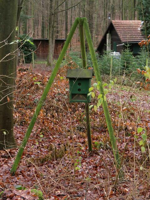 Ein Tripod für Waldbesetzer einer anderen Art steht am Limes südlich von Gießen.