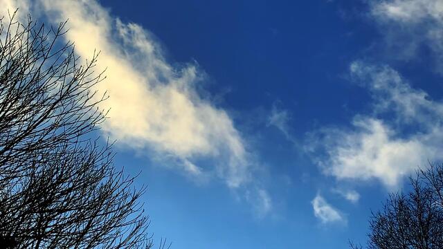 12. Januar 2021. Wie war denn heute das Wetter bei uns? Bleibt gesund!