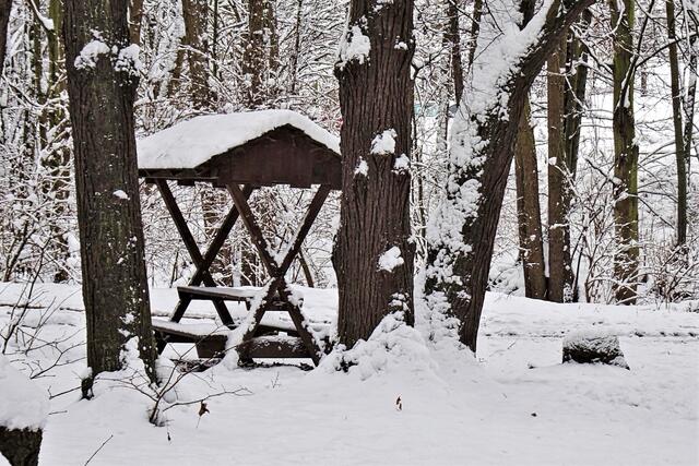 Rastplatz am Fürstenweg (Osterteich)