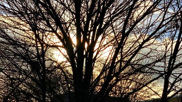 12. Januar 2021. Wie war denn heute das Wetter bei uns? Bleibt gesund!