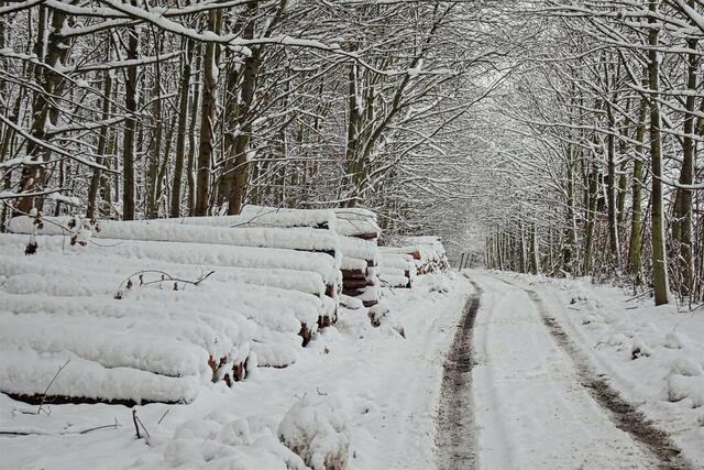 Fürstenweg