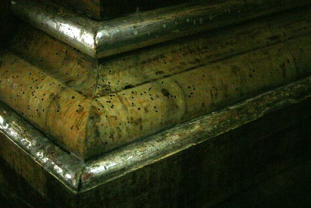 Bei leichter Unterbelichtung sind die unzähligen Wurmlöcher bestens zu erkennen.