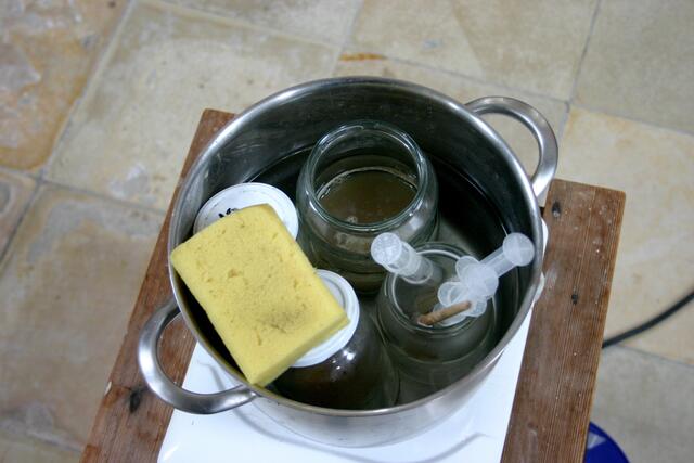 Historische Spezialleime nebst Dosierspritzen