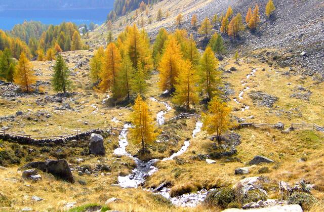 Zunächst geht es in den tieferen Regionen durch allerschönste Landschaft.