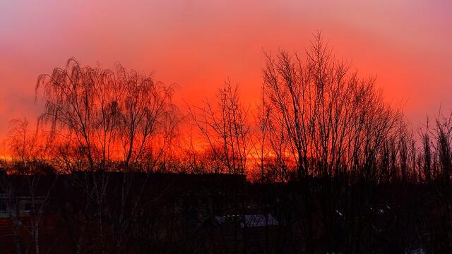 17. Januar 2021. Guten Morgen! Sonnenaufgang. Bleibt gesund!