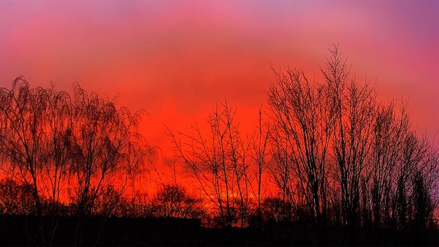 17. Januar 2021. Guten Morgen! Sonnenaufgang. Bleibt gesund!