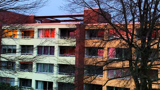 17. Januar 2021. Guten Morgen! Sonnenaufgang. Bleibt gesund!