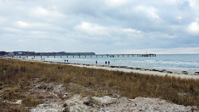 Die Promenade auf der Düne soll Spaziergängern einen freien Blick auf die Ostseebucht ermöglichen. Foto: Helmut Kuzina