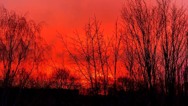17. Januar 2021. Guten Morgen! Sonnenaufgang. Bleibt gesund!