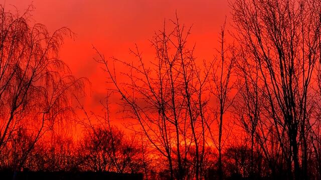 17. Januar 2021. Guten Morgen! Sonnenaufgang. Bleibt gesund!