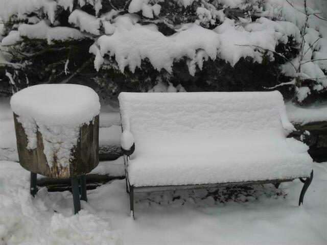 Foto: Marianne G.