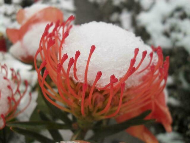 Foto: Marianne G.