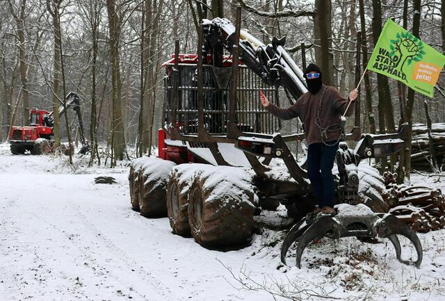 Perfekte Besetzung von Waldarbeiterfahrzeugen durch Danny Danger