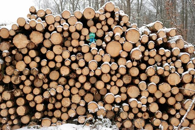Der kleine BuBa hat einen viel größeren Holzstapel besetzt als der große Danny Danger.