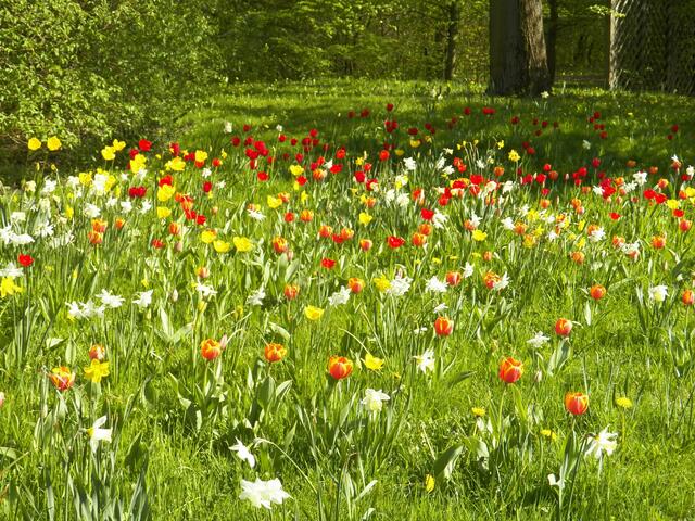 Britzer Garten