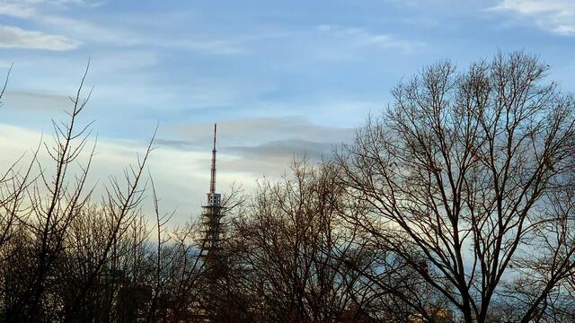 20. Januar 2021. In unserem Park! Ein Blick in den Himmel! Bleibt gesund!