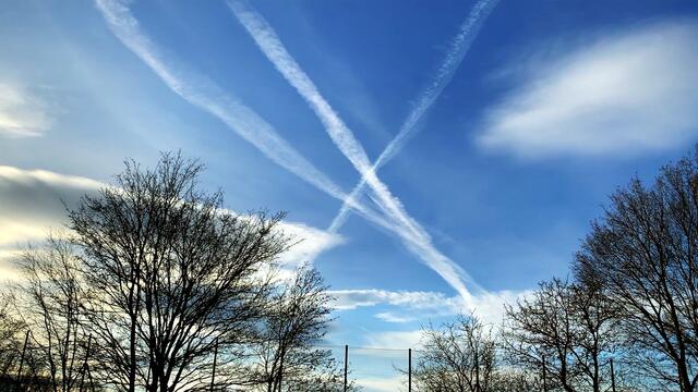 20. Januar 2021. In unserem Park! Ein Blick in den Himmel! Bleibt gesund!