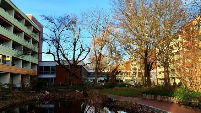 20. Januar 2021. In unserem Park! Ein Blick in den Himmel! Bleibt gesund!