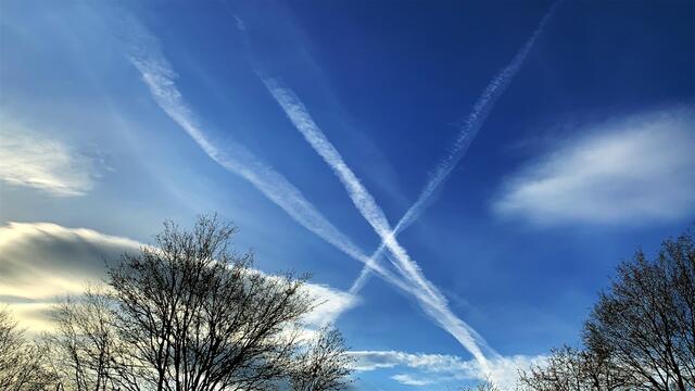 20. Januar 2021. In unserem Park! Ein Blick in den Himmel! Bleibt gesund!