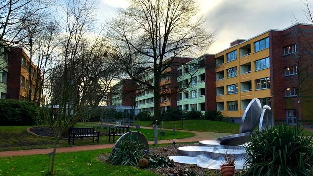 20. Januar 2021. In unserem Park! Ein Blick in den Himmel! Bleibt gesund!