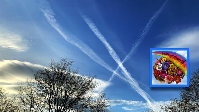 20. Januar 2021. In unserem Park! Ein Blick in den Himmel! Bleibt gesund!