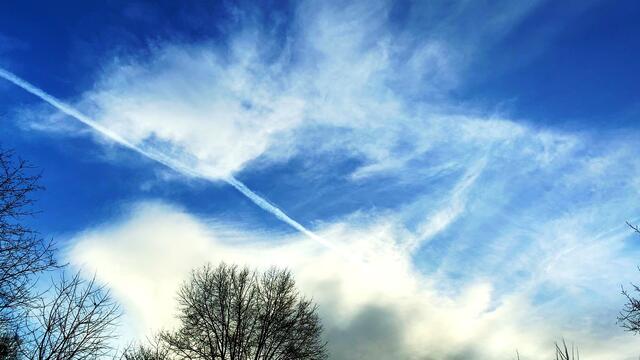 20. Januar 2021. In unserem Park! Ein Blick in den Himmel! Bleibt gesund!