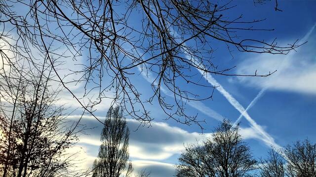 20. Januar 2021. In unserem Park! Ein Blick in den Himmel! Bleibt gesund!