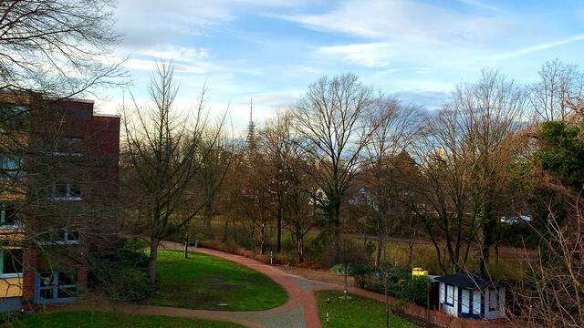 20. Januar 2021. In unserem Park! Ein Blick in den Himmel! Bleibt gesund!
