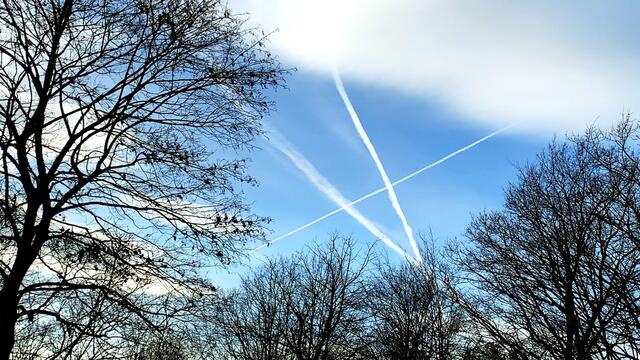 20. Januar 2021. In unserem Park! Ein Blick in den Himmel! Bleibt gesund!