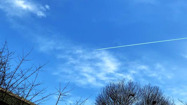 20. Januar 2021. In unserem Park! Ein Blick in den Himmel! Bleibt gesund!