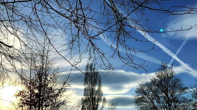 20. Januar 2021. In unserem Park! Ein Blick in den Himmel! Bleibt gesund!