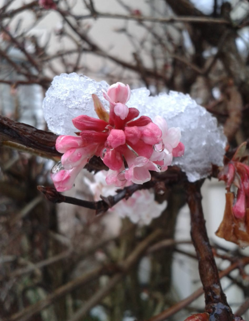 Foto: Marianne G.