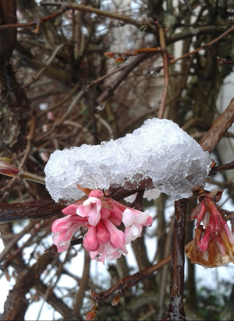 Foto: Marianne G.