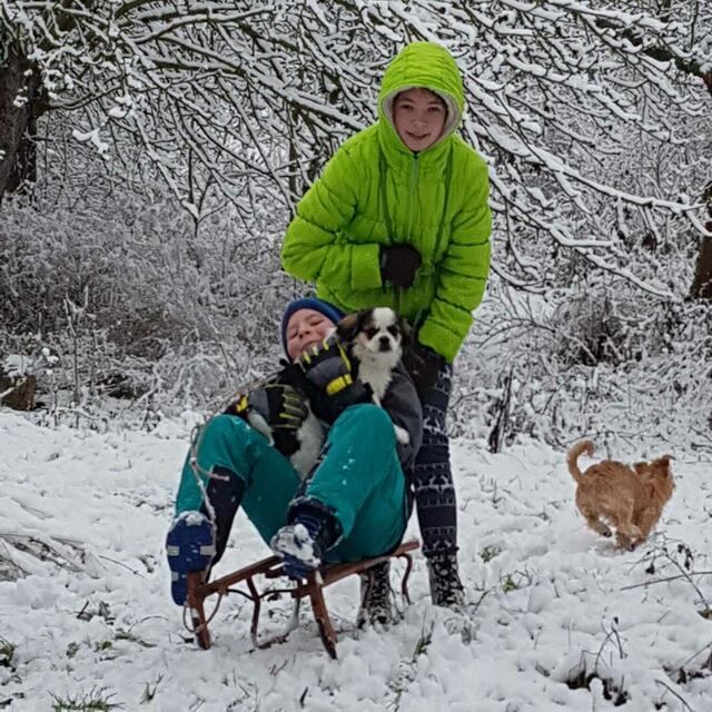 Winterwonderland Nebra am 26.1.2021 ! 
Seit Jahren hat es nicht mehr viel zu bei uns geschneit, unsere Enkel und die Hunde haben sich gefreut mal wieder Schlitten fahren zu können und im Schnee so richtig austoben zu können !