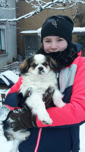 LADY und Vivi - Winterwonderland Nebra am 26.1.2021 ! 
Seit Jahren hat es nicht mehr viel zu bei uns geschneit, unsere Enkel und die Hunde haben sich gefreut mal wieder Schlitten fahren zu können und im Schnee so richtig austoben zu können !
