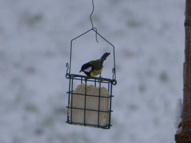 "Alles meins!"