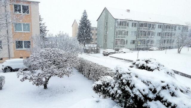 Winterwonderland Nebra am 26.1.2021 ! 
Seit Jahren hat es nicht mehr viel zu bei uns geschneit, unsere Enkel und die Hunde haben sich gefreut mal wieder Schlitten fahren zu können und im Schnee so richtig austoben zu können !