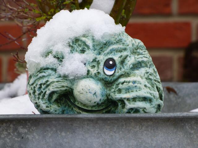Der freut sich auch über den Schnee! :-))))