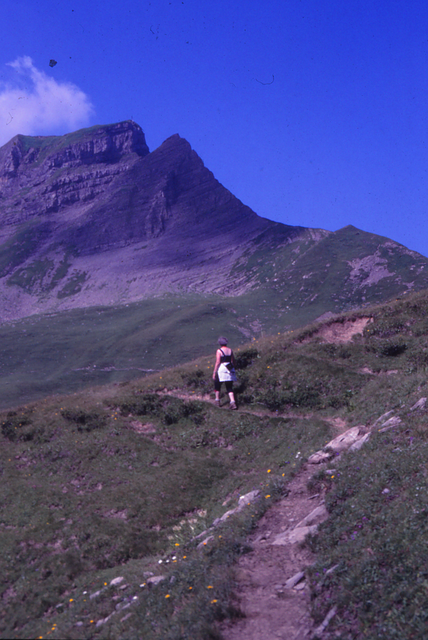 Maria auf dem Weg zur Mittagspitze