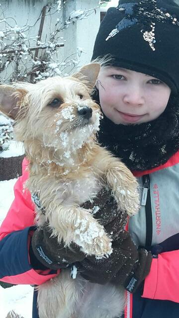 Nutella und Viviana  - Winterwonderland Nebra am 26.1.2021 ! 
Seit Jahren hat es nicht mehr viel zu bei uns geschneit, unsere Enkel und die Hunde haben sich gefreut mal wieder Schlitten fahren zu können und im Schnee so richtig austoben zu können !