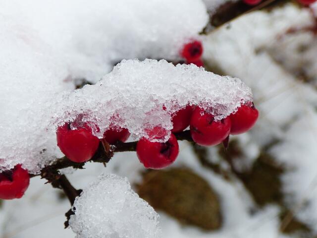 Roter Farbtupfer