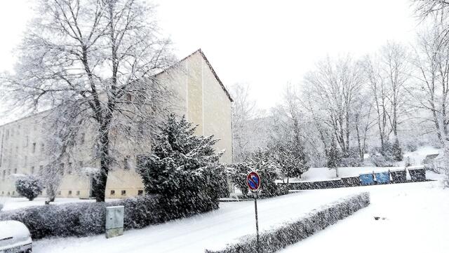 Winterwonderland Nebra am 26.1.2021 ! 
Seit Jahren hat es nicht mehr viel zu bei uns geschneit, unsere Enkel und die Hunde haben sich gefreut mal wieder Schlitten fahren zu können und im Schnee so richtig austoben zu können !