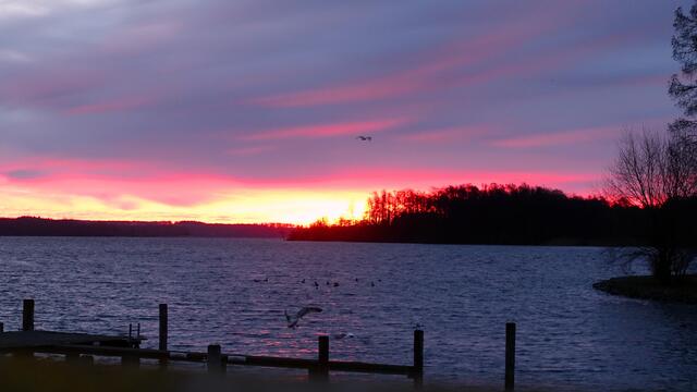 Gegen 8 Uhr endet die blaue Stunde, am Ostufer des Schweriner Sees geht allmählich die Sonne auf. Foto: Helmut Kuzina