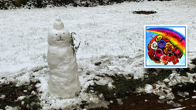 30. Januar 2021. Ein Schneemann in unserem verschneiten Park! Bleibt gesund!