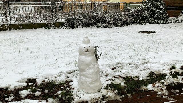 30. Januar 2021. Ein Schneemann in unserem verschneiten Park! Bleibt gesund!