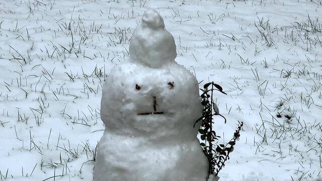 30. Januar 2021. Ein Schneemann in unserem verschneiten Park! Bleibt gesund!