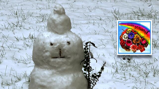 30. Januar 2021. Ein Schneemann in unserem verschneiten Park! Bleibt gesund!