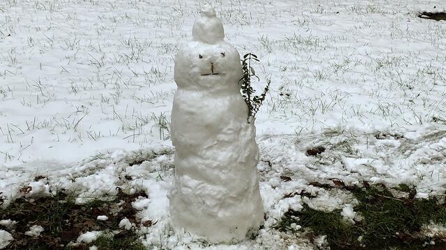 30. Januar 2021. Ein Schneemann in unserem verschneiten Park! Bleibt gesund!