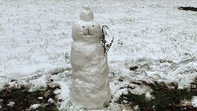 30. Januar 2021. Ein Schneemann in unserem verschneiten Park! Bleibt gesund!